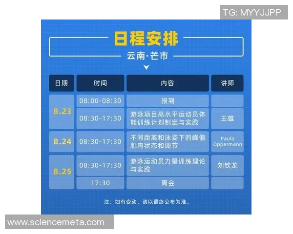 提升游泳技术与体能的综合训练方案及其效果分析