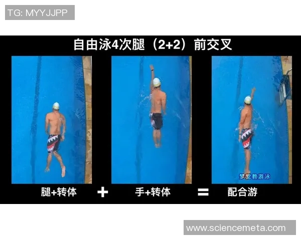 自由泳技巧与训练方法的全面解析 提升游泳速度与耐力的关键要素
