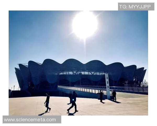 西安篮球队实力飙升创造历史新高引发关注与期待